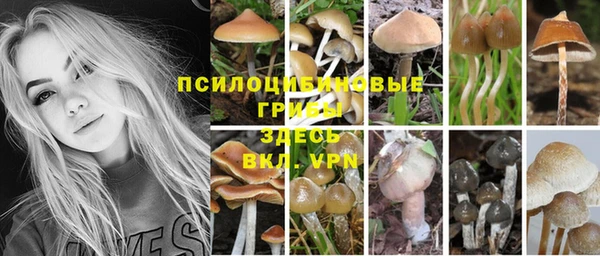 герыч Баксан