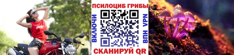 Галлюциногенные грибы прущие грибы  как найти   Балахна 