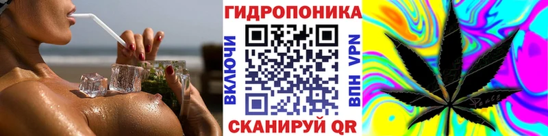 Бошки марихуана планчик  Балахна 